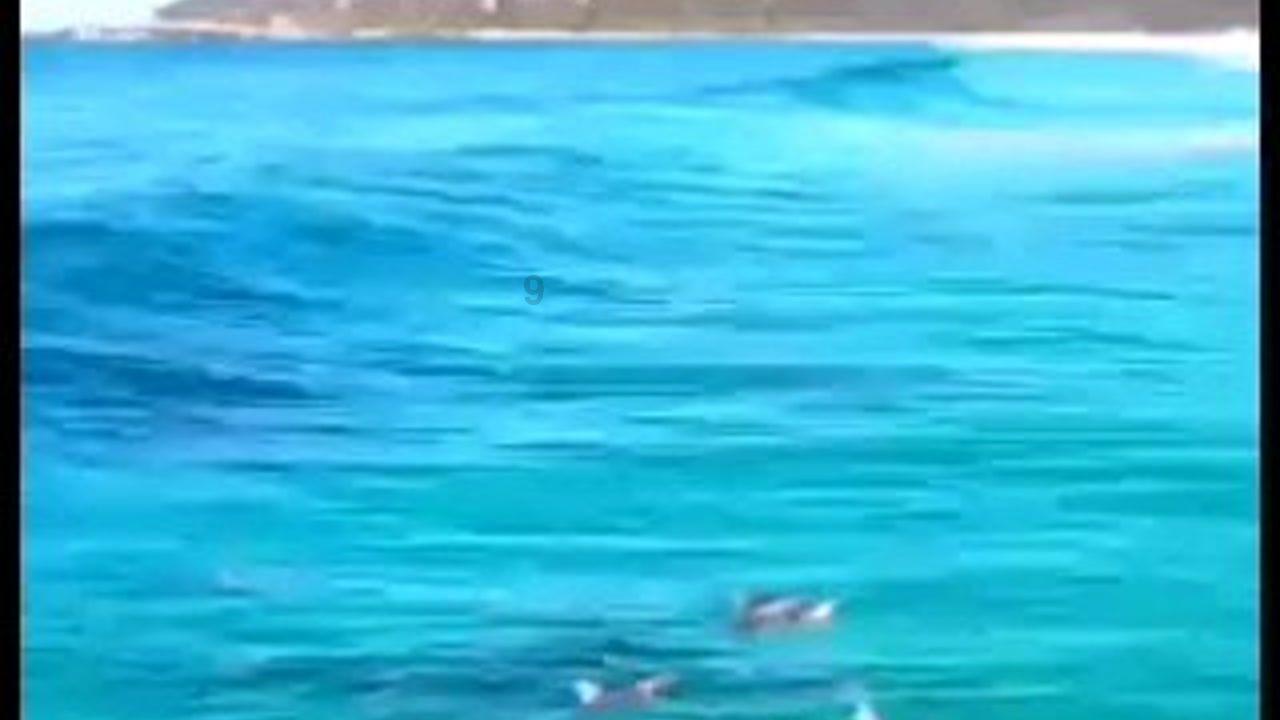 劫后余生：夺回